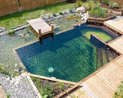 Piscine écologique