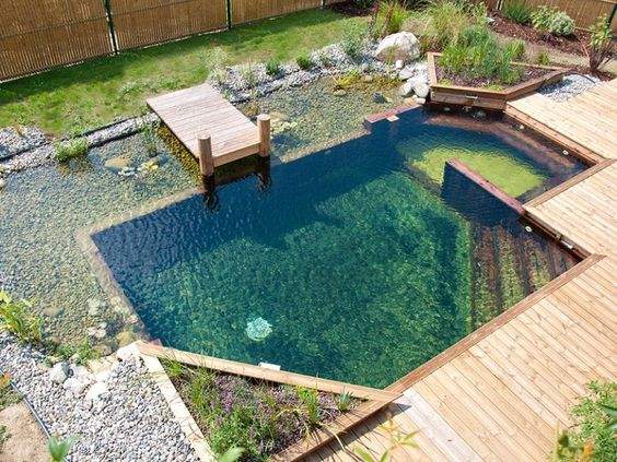 Une piscine écologique