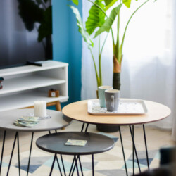 Aménagement et décoration d'un appartement pour de la colocation meublée - détail salle à manger Aménagement et décoration d'un appartement pour de la colocation meublée - détail salle à manger