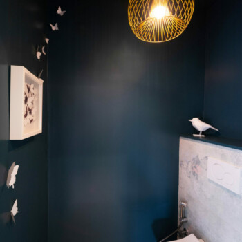 wc cocoon wc cocoon